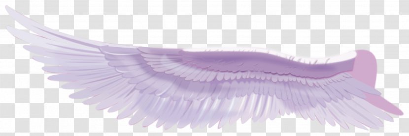 Feather Purple Eyelash - Wings Vector Transparent PNG