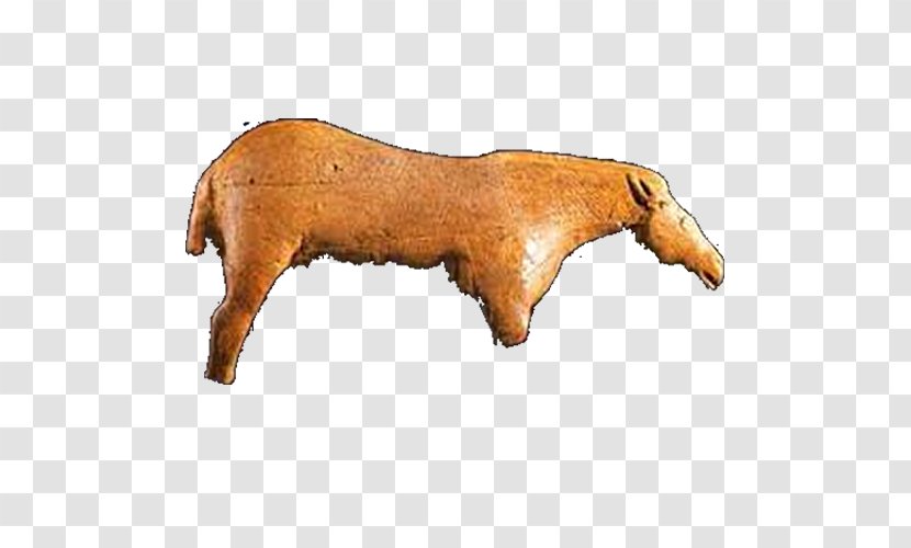 Cattle Mustang Snout Terrestrial Animal - Figure Transparent PNG