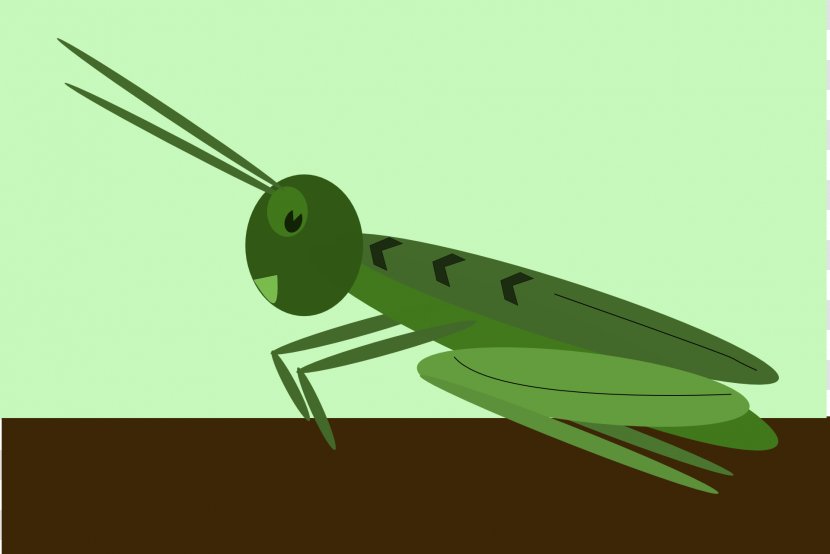 Jiminy Cricket Sound Effect Chirp - Flower - Grasshopper Transparent PNG