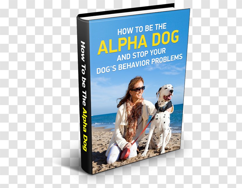 Dog Training Закон України «Про доступ до публічної інформації» Whistle - Global Change - The Cover Transparent PNG