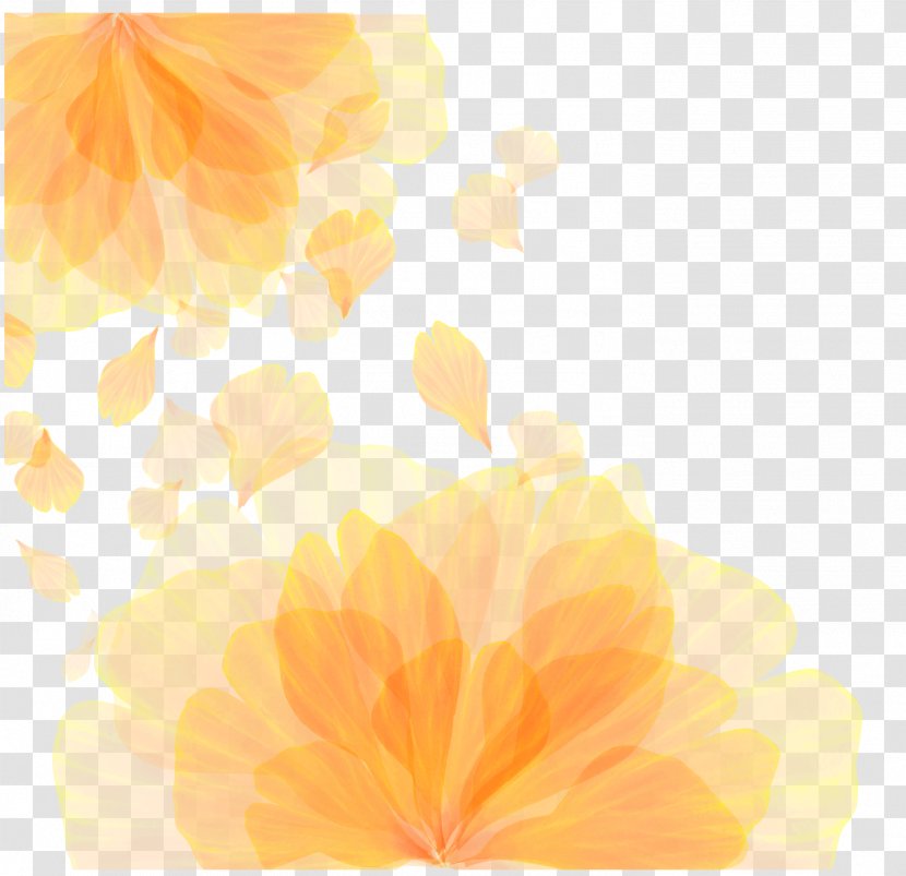 Computer Wallpaper - Drawing - Vector Orange Flower Pattern Texture Transparent PNG
