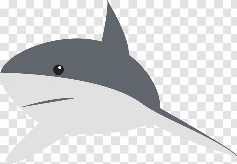 Shark Animation Clip Art - Dolphin - Sharks Transparent PNG