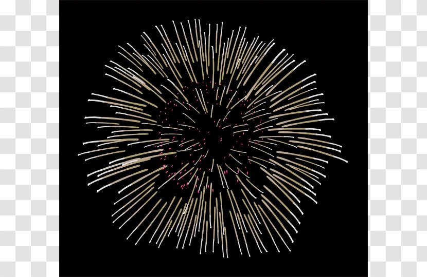 Fireworks Animation Clip Art - Drawing - Pink Cliparts Transparent PNG