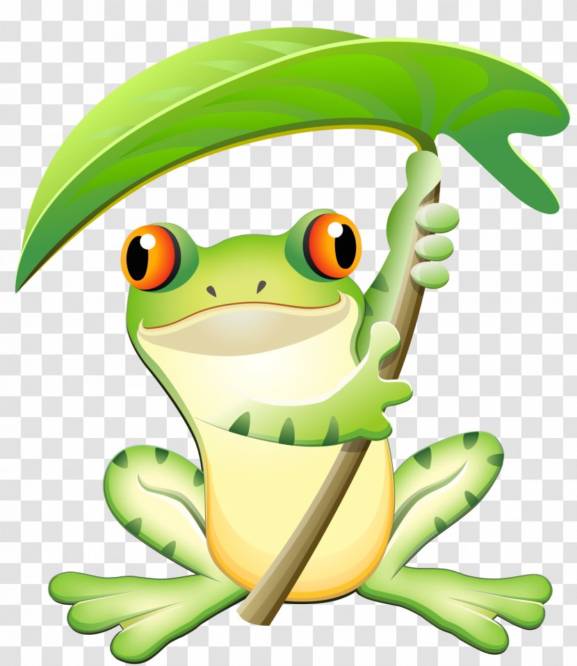 Tree Frog Health True Therapy Transparent PNG