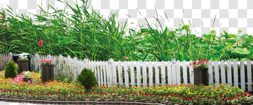 Landscape Garden Plant Clip Art - Information - Plants Transparent PNG