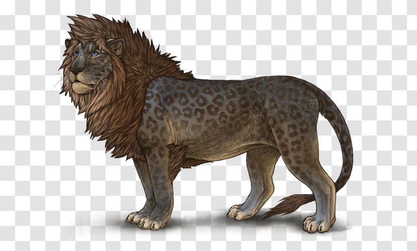 Lion Leopon Animal Big Cat - Carnivoran - Mottled Transparent PNG