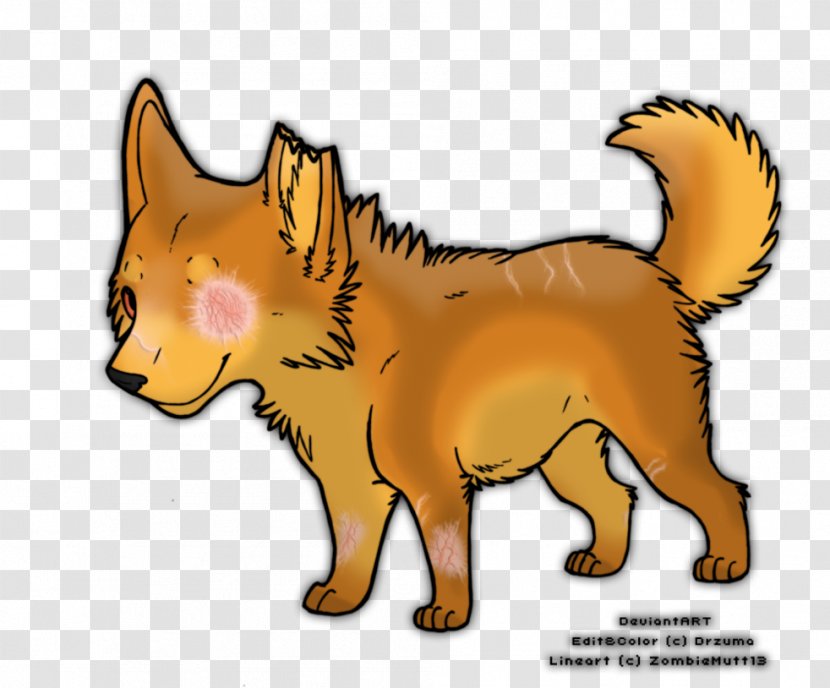 Whiskers Dog Kitten Cat Red Fox - Tail Transparent PNG