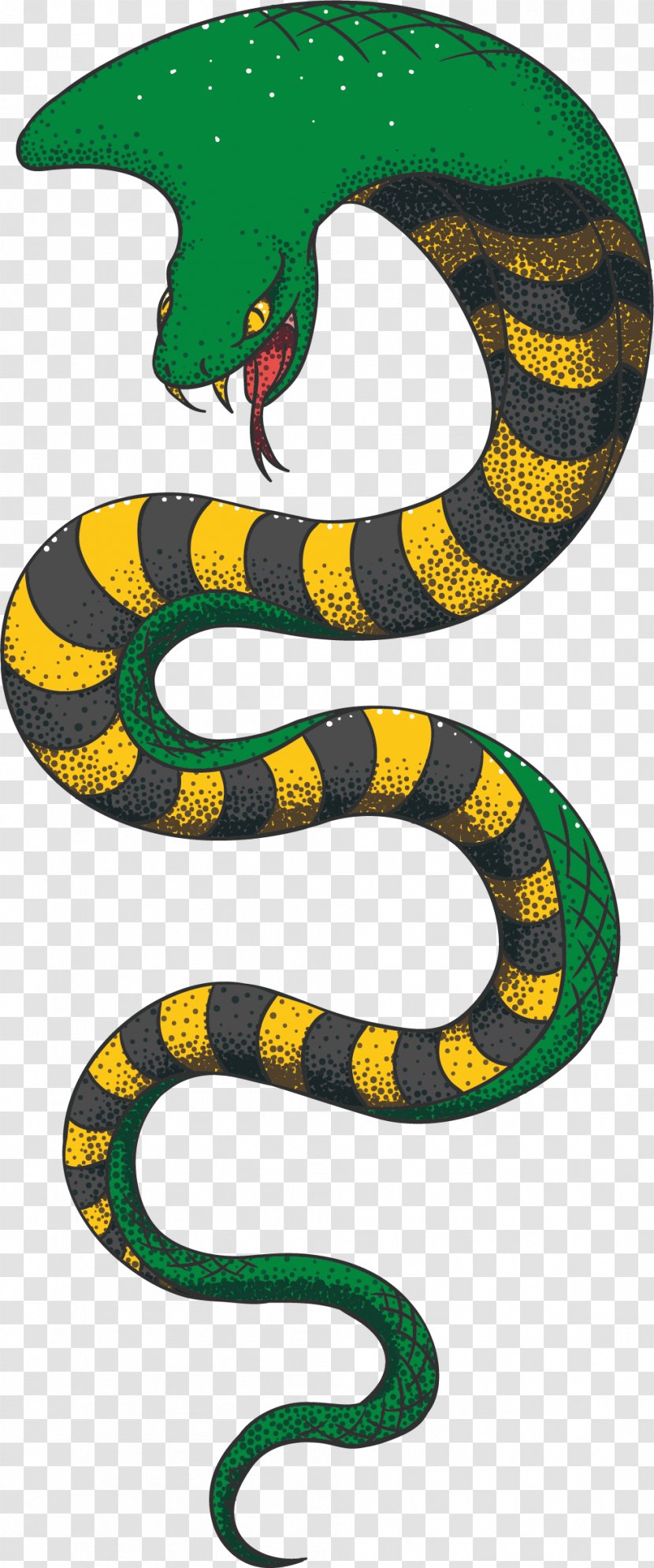 Snake Vector Clip Art - Vertebrate - Hand Painted Transparent PNG