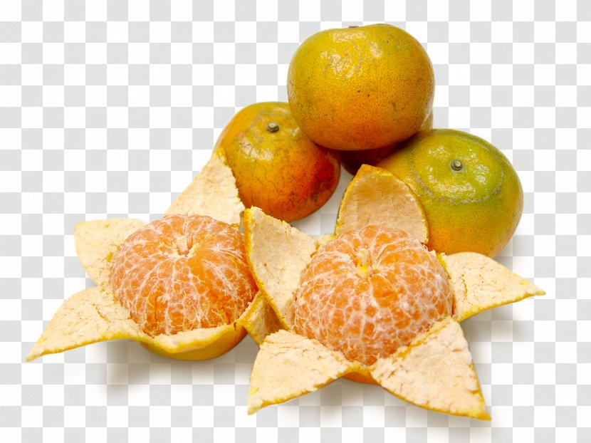 Clementine Peel Mandarin Orange Tangerine - Rangpur Transparent PNG