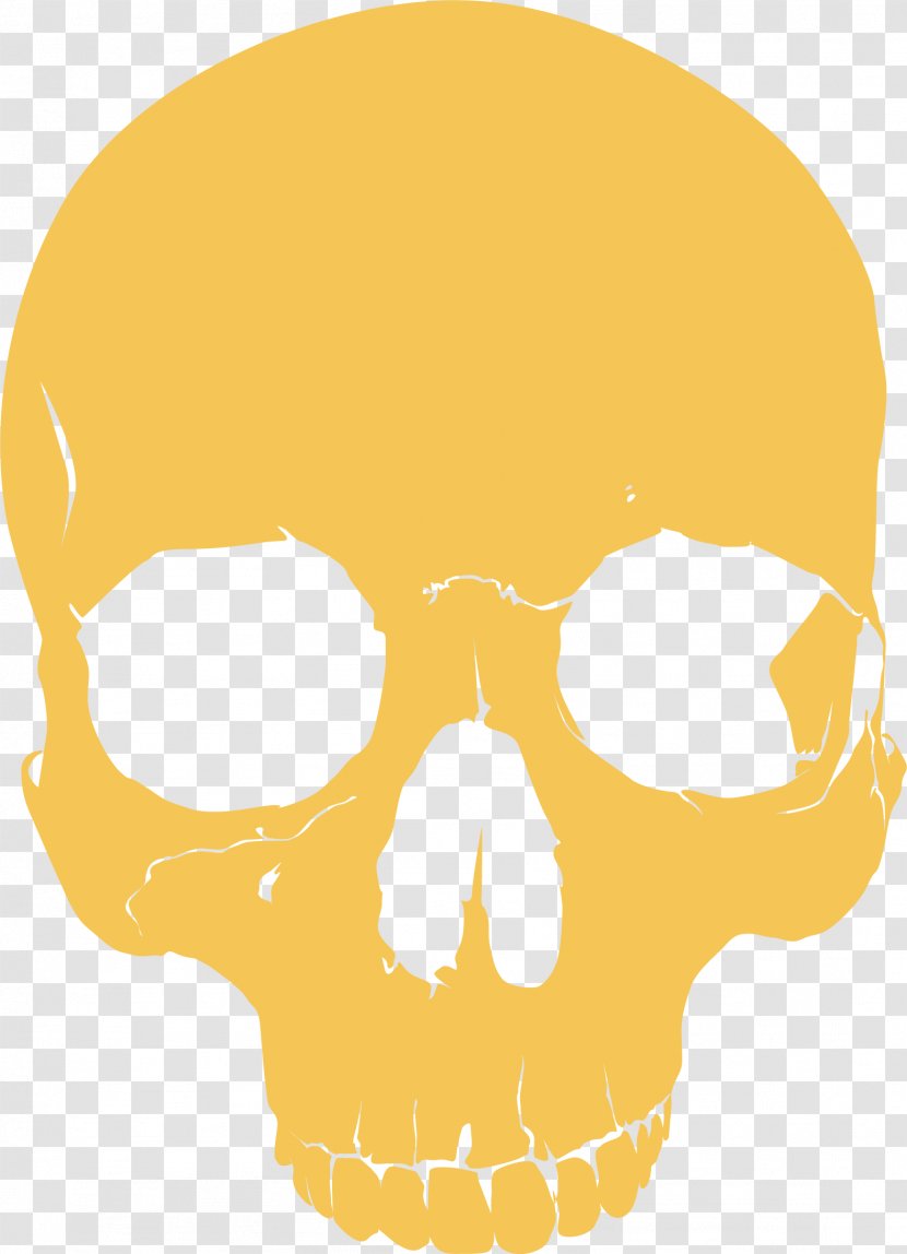 Skull - Area - Yellow Transparent PNG