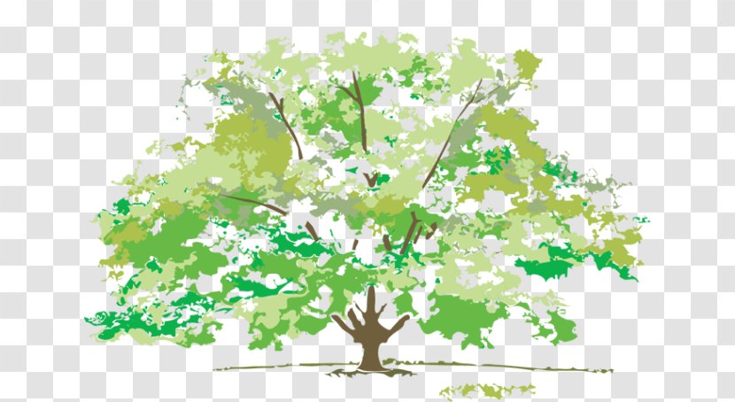 Autumn Spring Summer Clip Art - Leaf Transparent PNG