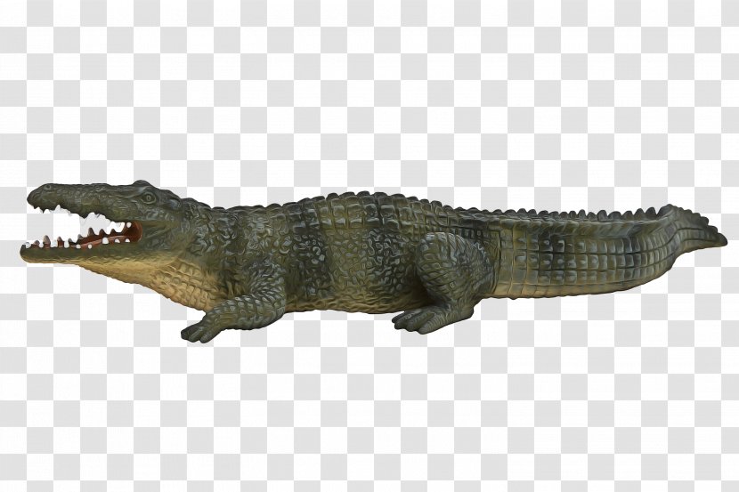 Alligator Cartoon - Nile Crocodile - Dinosaur Statue Transparent PNG