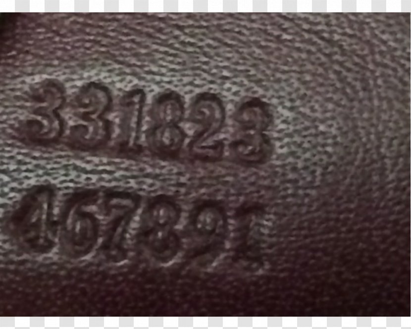 Brown Brand Font - Label - Snake Gucci Transparent PNG