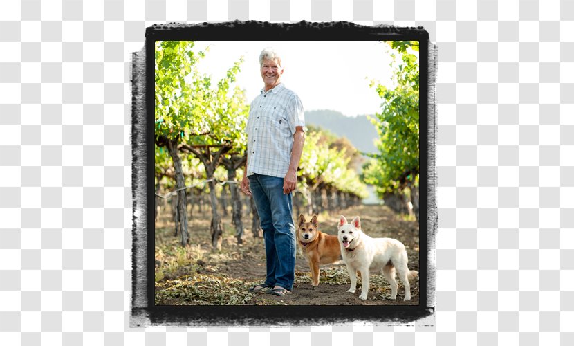 Hoopes Vineyard Dog Breed Obedience Training Winery - Picture Frame - Champagne Cheers Transparent PNG