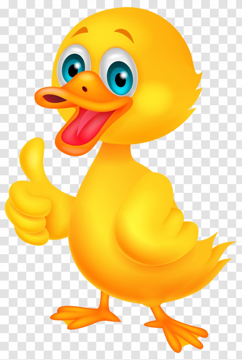 Donald Duck Cartoon Clip Art - Ducks Geese And Swans Transparent PNG