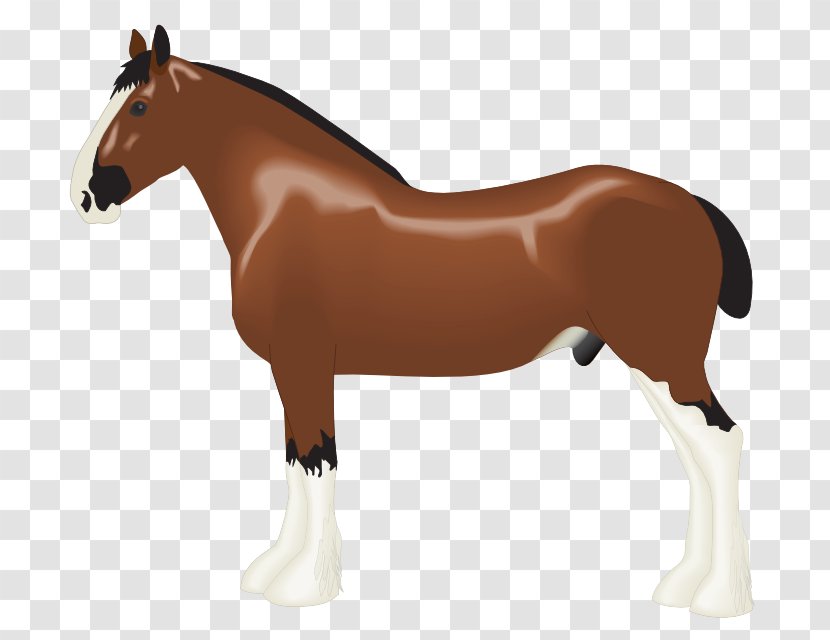 Clydesdale Horse Foal Draft Clip Art - Saddle Transparent PNG
