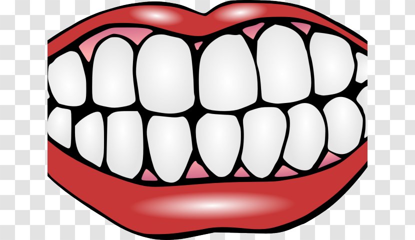 Clip Art Human Tooth Dentistry Whitening - Watercolor - Us Clipart Transparent PNG