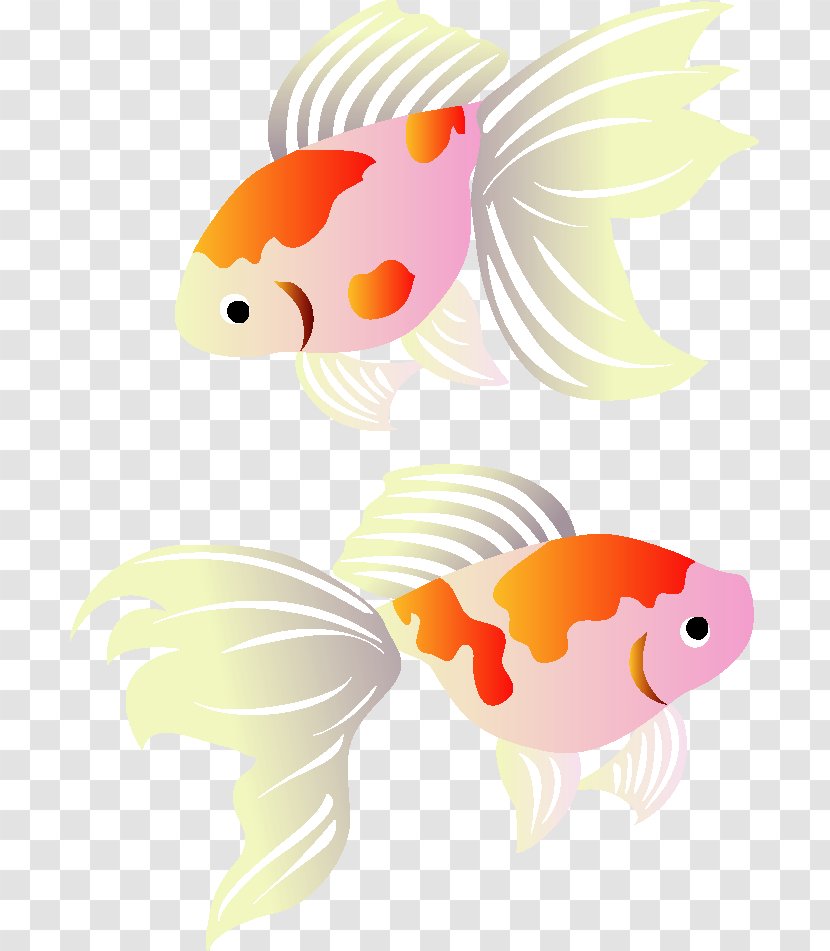 Goldfish Post Cards Koi Illustration Greeting - Wing Transparent PNG