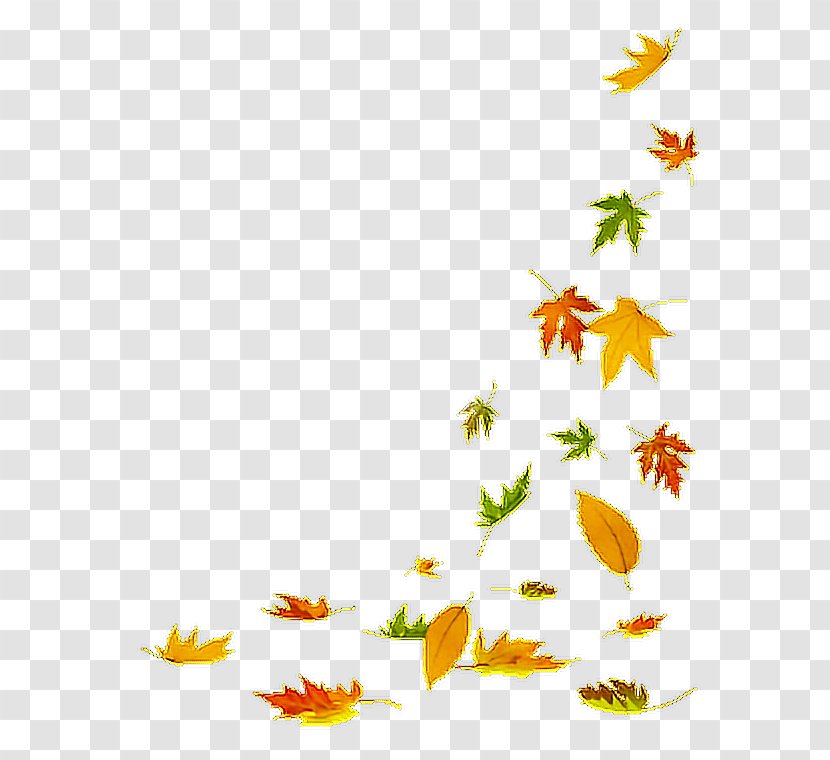 Autumn Leaves Background - Pedicel Wildflower Transparent PNG