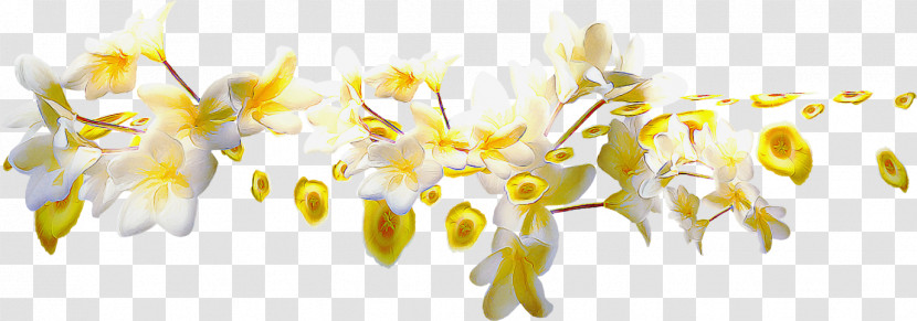 Flower Border Flower Background Transparent PNG