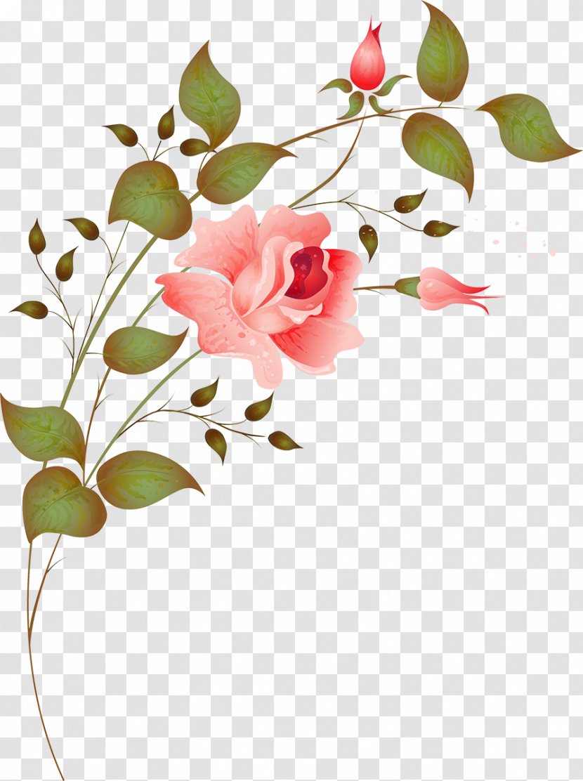 Flower Design Rose Image Illustration - Petal Transparent PNG