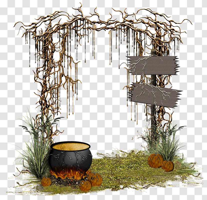 Halloween Picture Frames Holiday - Night Transparent PNG