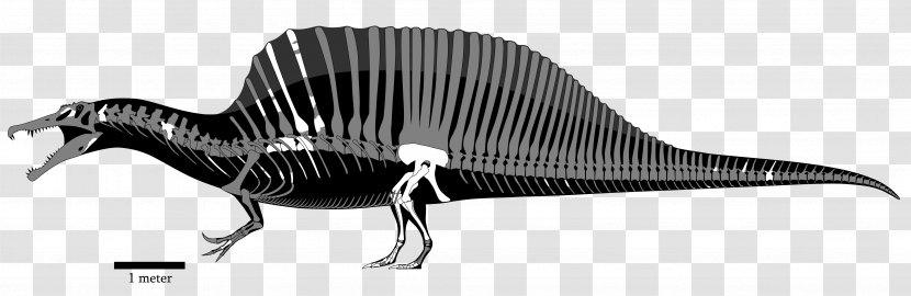 Spinosaurus Tyrannosaurus Acrocanthosaurus Giganotosaurus Baryonyx - Ark Survival Evolved - Dinosaur Transparent PNG