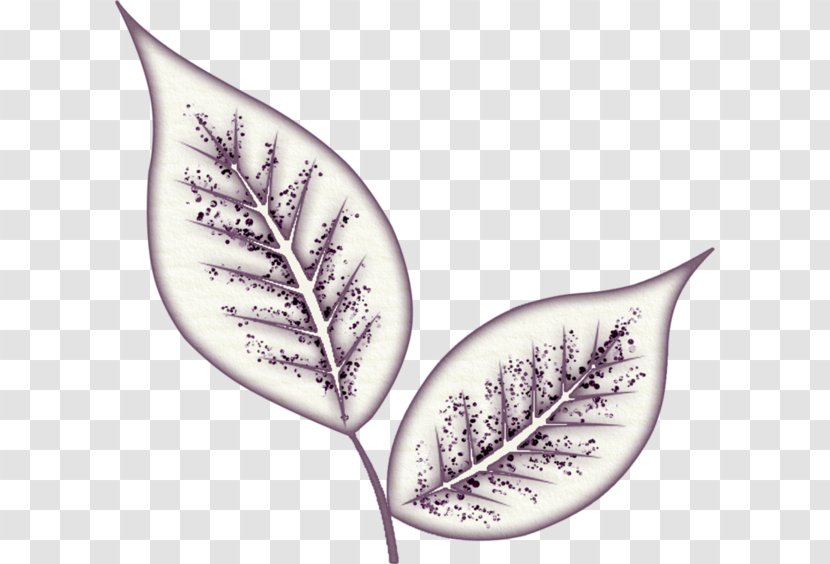 Leaf Deciduous Cartoon - Twig Transparent PNG