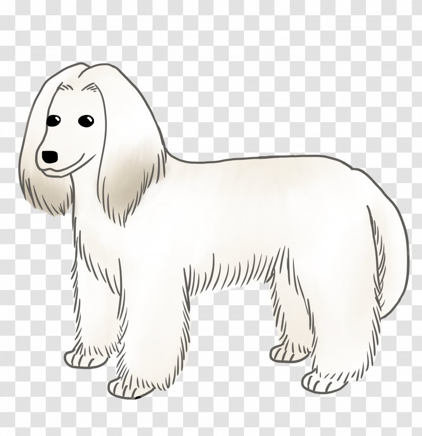 Dog Breed Puppy Companion Line Art - Animal - Afghan Hound Transparent PNG
