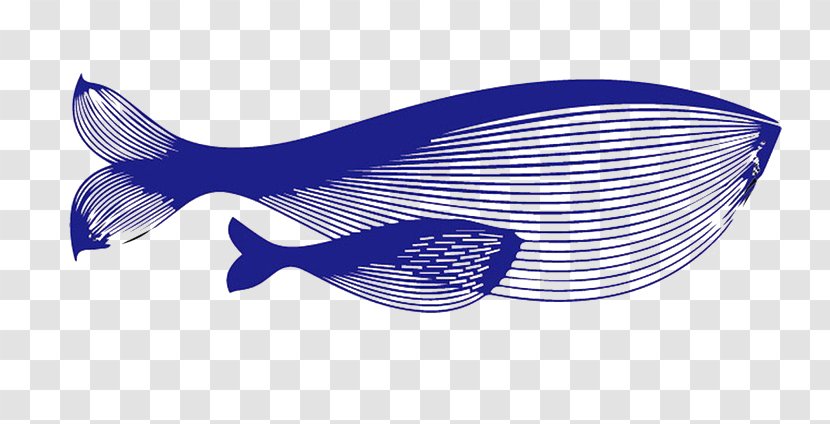 Blue Whale - Cartoon - Fish Transparent PNG