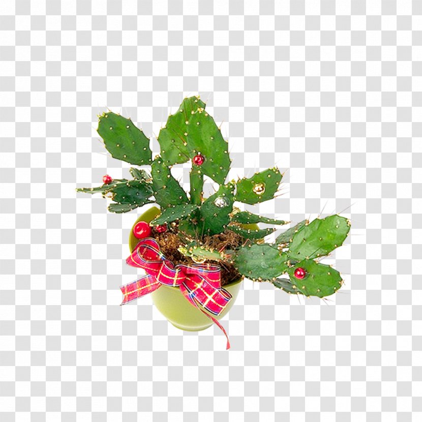 Cactaceae Plant Flowerpot - Bow Pot Transparent PNG
