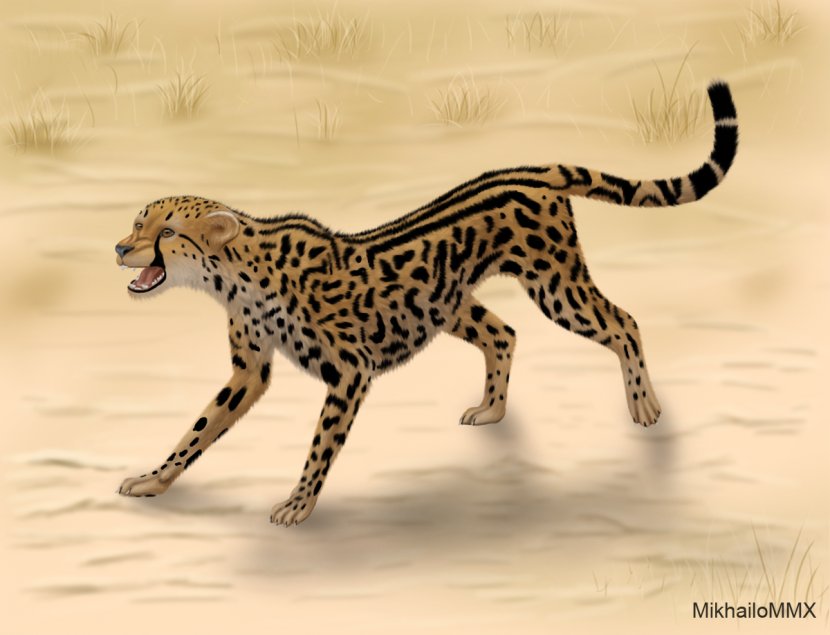 King Cheetah Asiatic Lion South African DeviantArt - Organism Transparent PNG