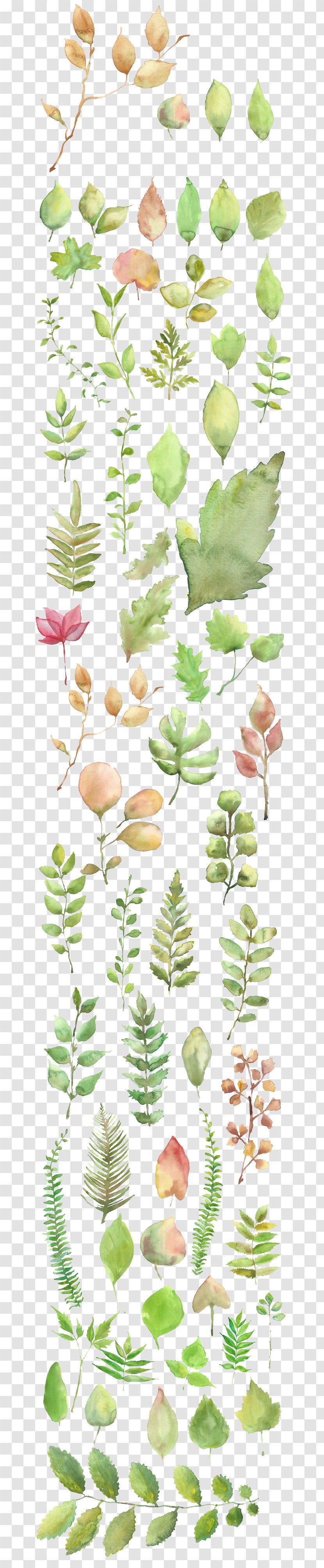 Watercolor Painting Shading - Gratis - Leaves Material Transparent PNG