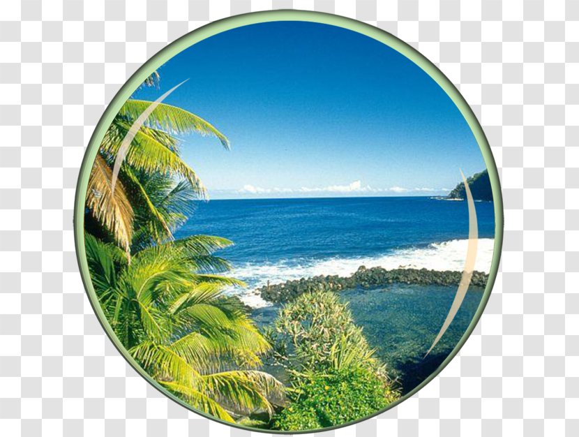 Saint-Denis Sainte-Marie, Réunion Mauritius Island Hotel Travel - Villa - Events Posters Transparent PNG
