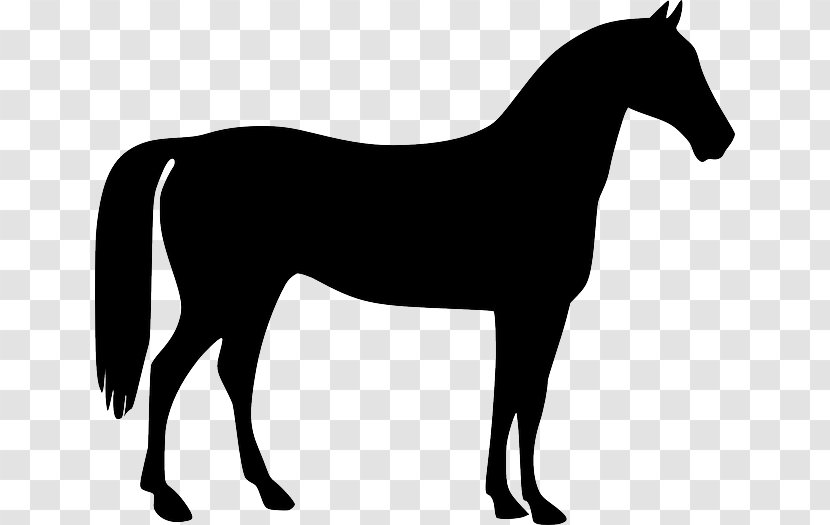 Mustang American Quarter Horse Stallion Pony - Soldier Silhouette Transparent PNG