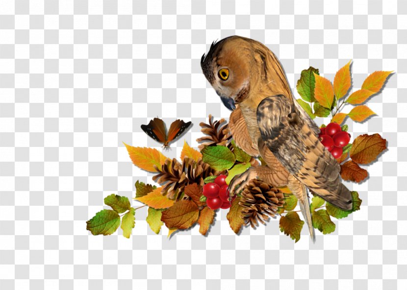 Leaf Branch Bird Plant Squirrel Transparent PNG