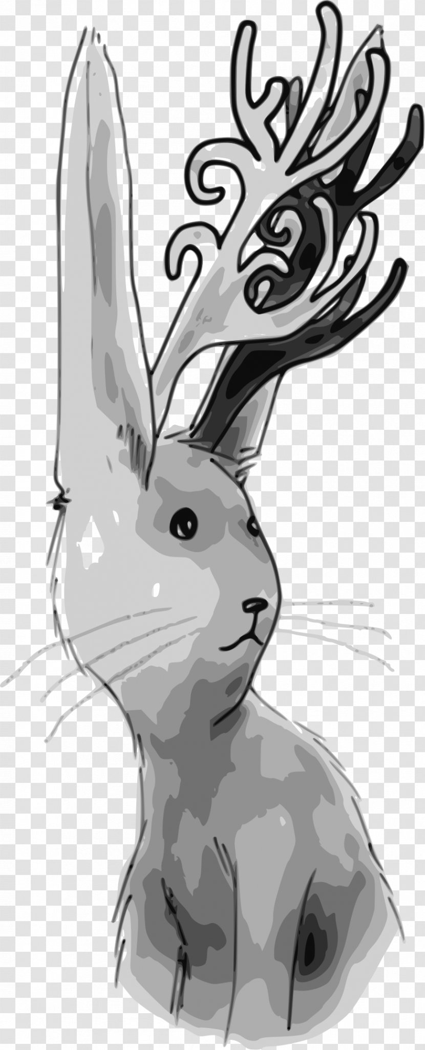 Rabbit Line Art Clip - Hare - White Deer Transparent PNG