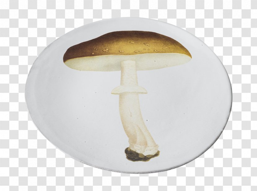 Mushroom - Table Transparent PNG