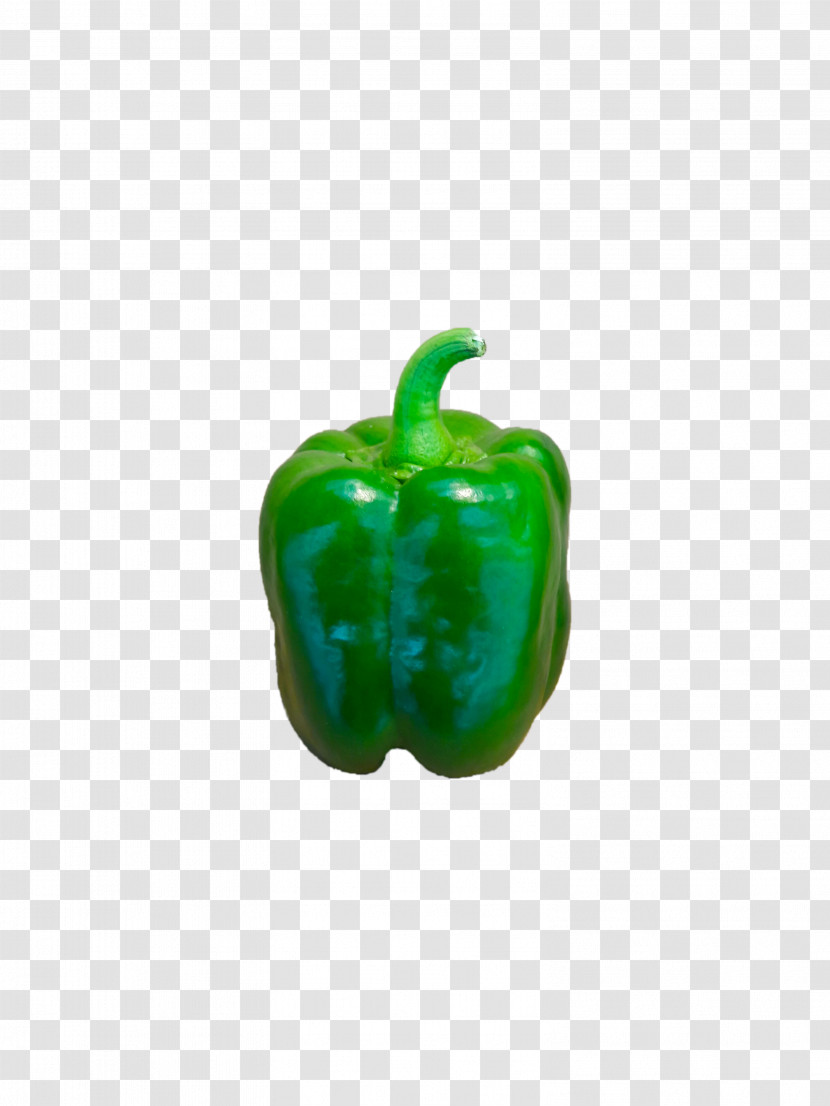 Bell Pepper Peppers Paprika Green Transparent PNG