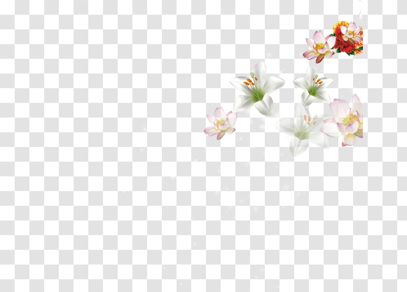 Textile Petal White Pattern - Floating Flower Transparent PNG