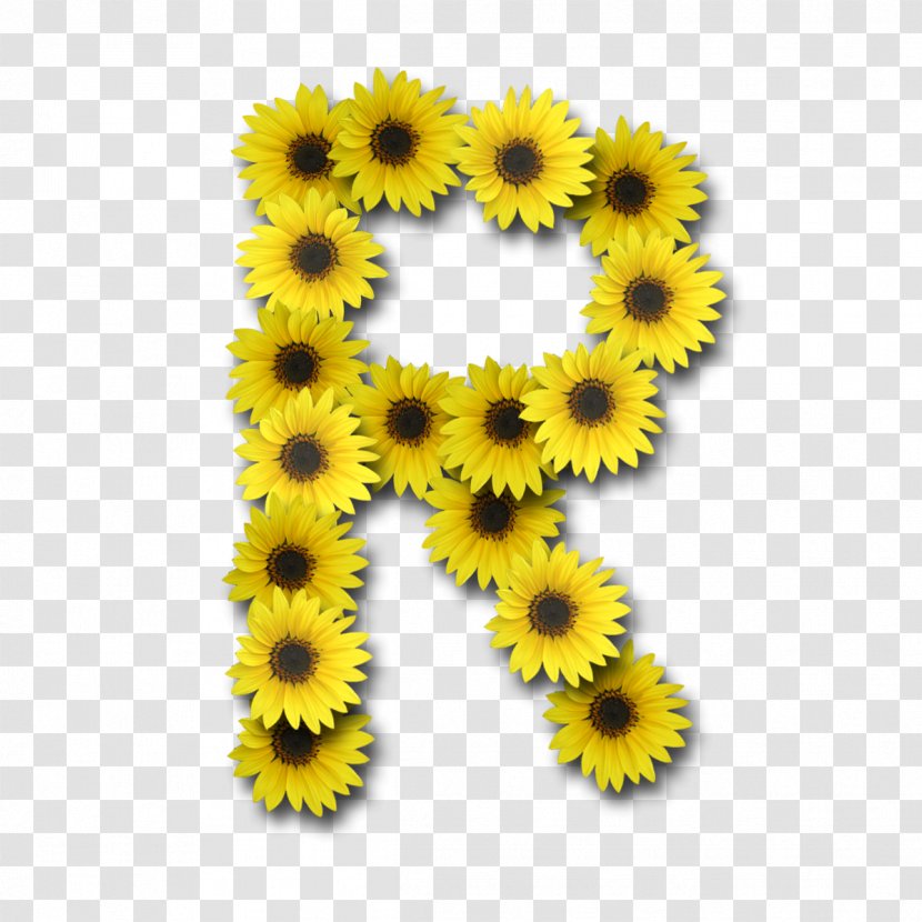 Alphabet Letter J - Sunflower Transparent PNG