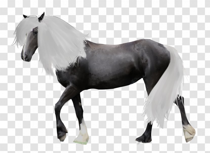 Tack Shop Rein Horse Blanket Equestrian - Mustang - Equine Pattern Transparent PNG