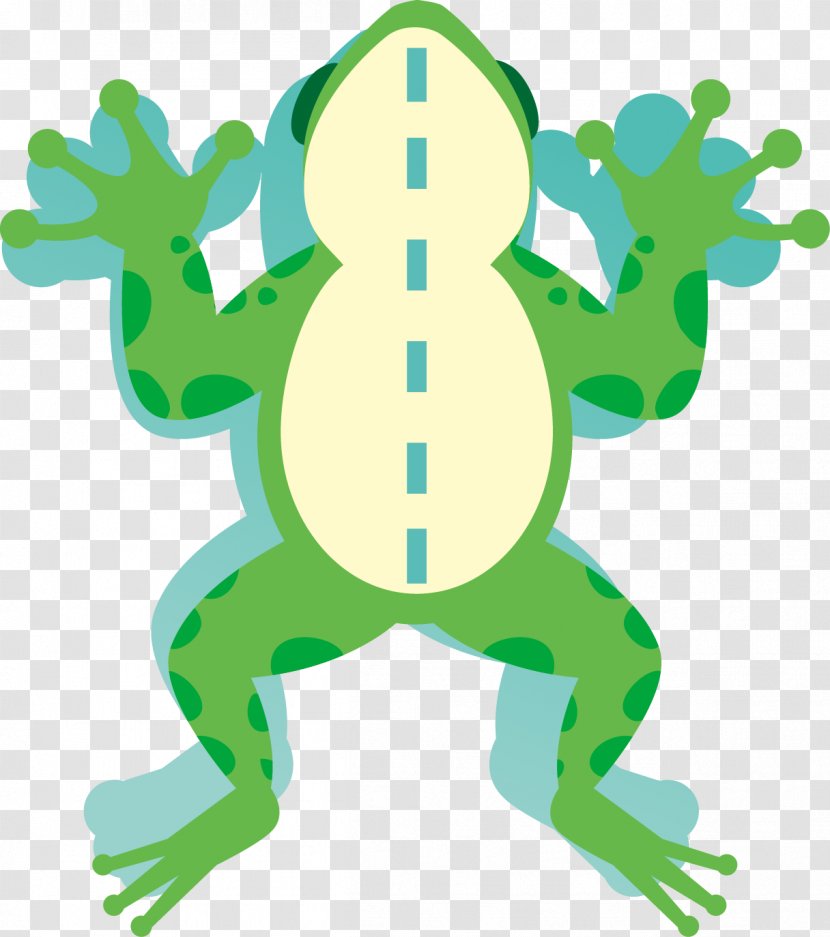 Download Clip Art - Green - Frog Transparent PNG