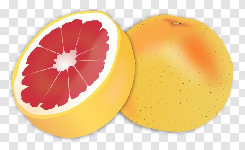 Grapefruit Juice Sour Lemon - Food - Bitter Cliparts Transparent PNG