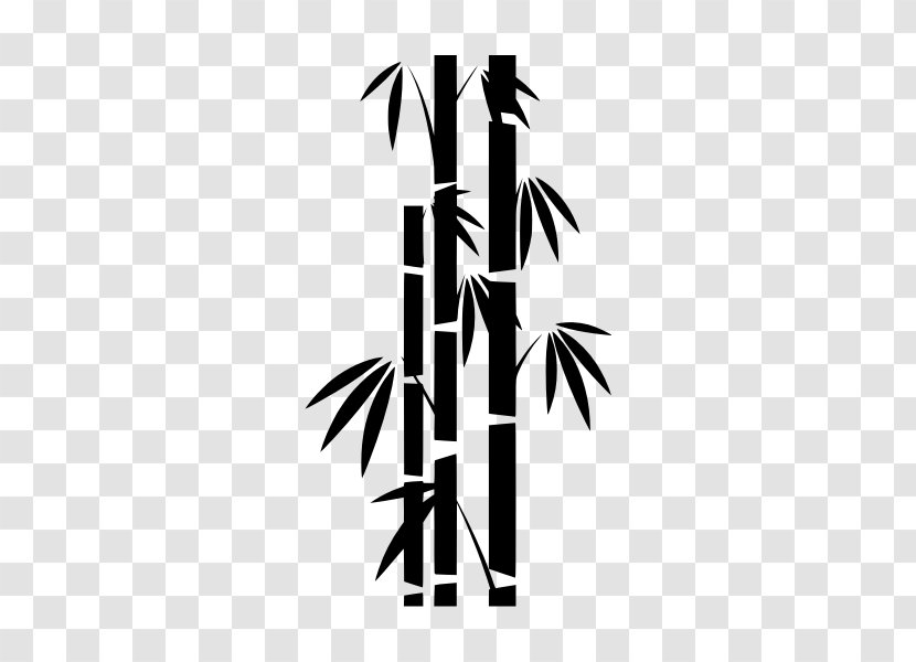 Drawing Bamboo Pencil - Shoot Transparent PNG