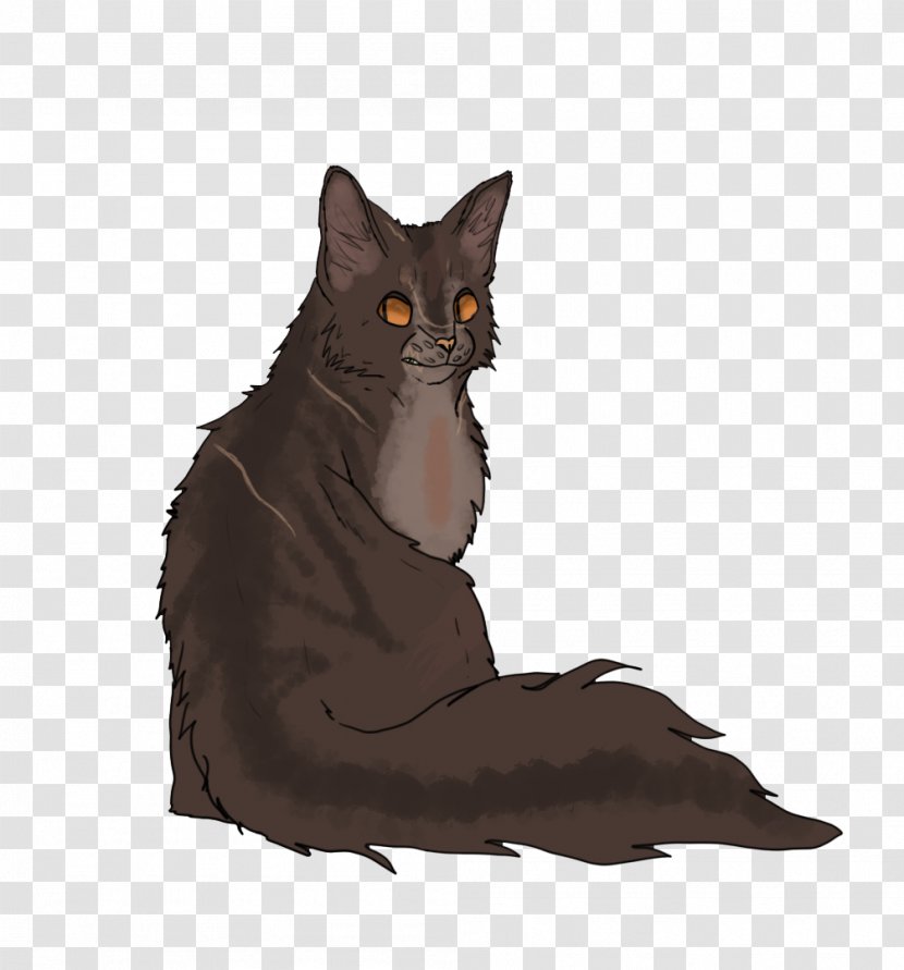Raggedstar Into The Wild Black Cat Maine Coon Brokenstar - Domestic Shorthaired - Ragged Transparent PNG