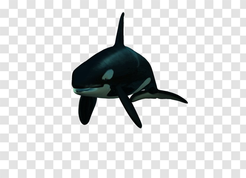 Dolphin Killer Whale PhotoScape - Personal Protective Equipment - Lp Transparent PNG