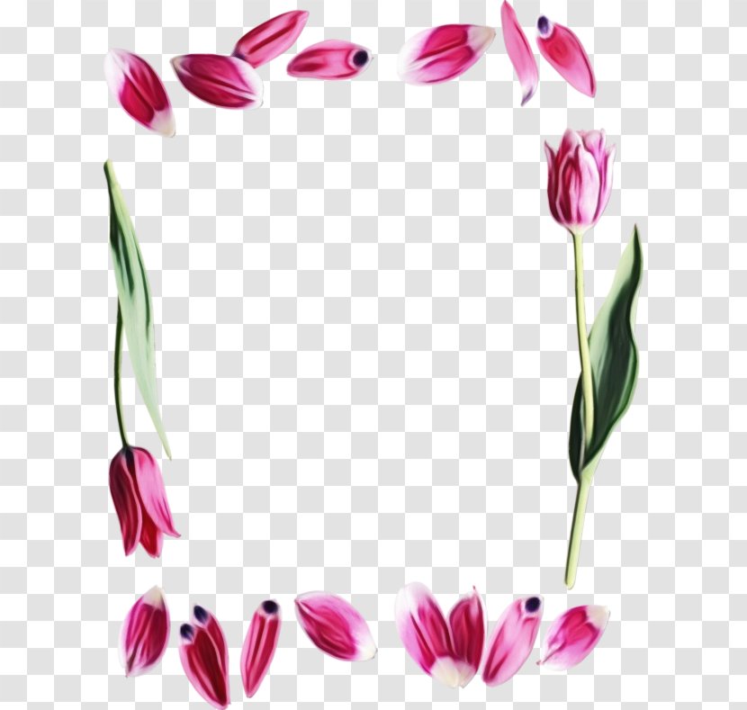Pink Flower Cartoon - Paint - Pedicel Tulip Transparent PNG
