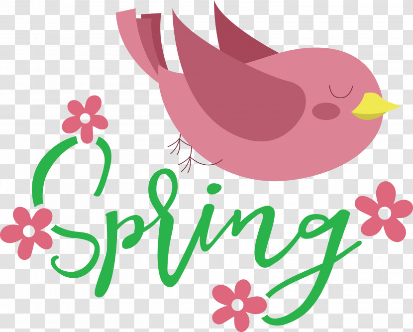 Spring Bird Transparent PNG