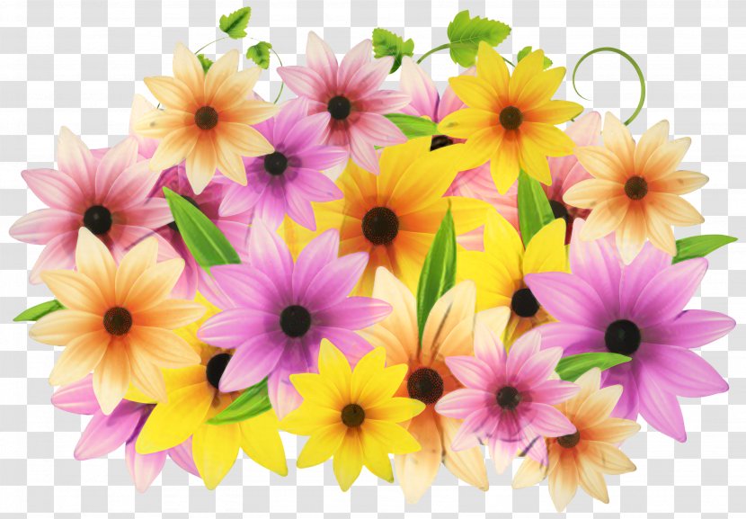 Floral Design Cut Flowers Transvaal Daisy Flower Bouquet - Plants Transparent PNG